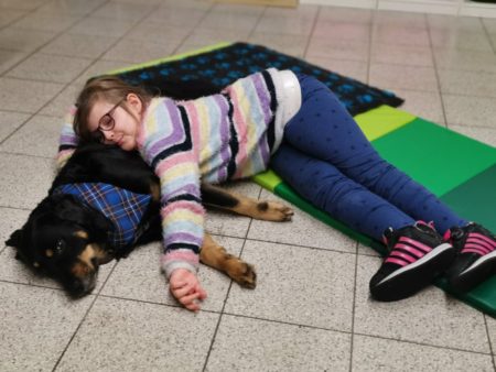 Therapiebegleithund Magdeburg