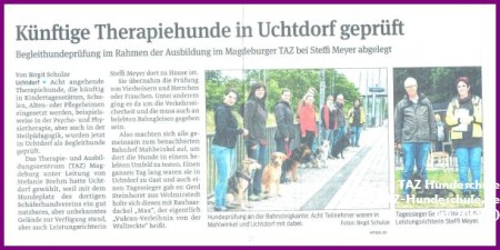Begleithundeprüfung Hundeschule Magdeburg