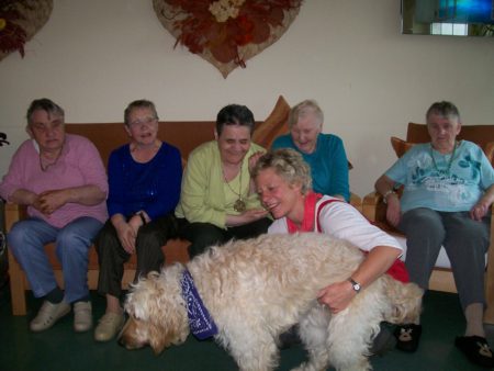 Besuchshund und Eignungefeststellung in Magdeburg