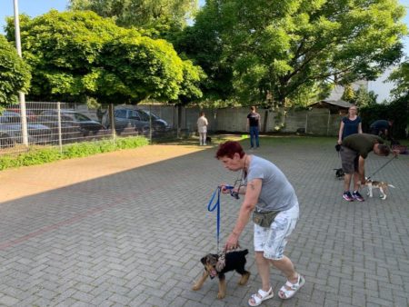 Welpenschule Magdeburg auch Indoor