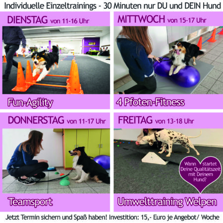 Hundefreizeit Magdeburg