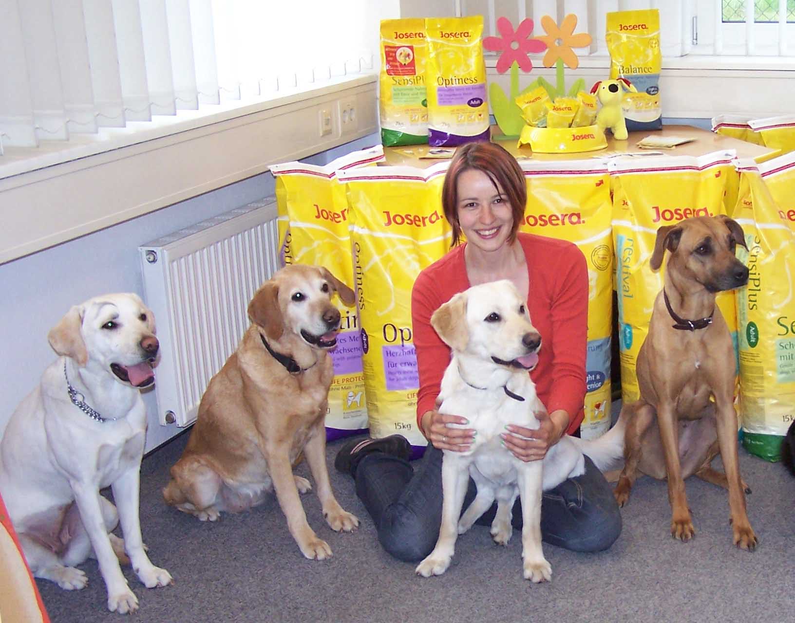 Wir lieben Hunde… › TAZ Hundeschule Magdeburg Ausbildung und Training